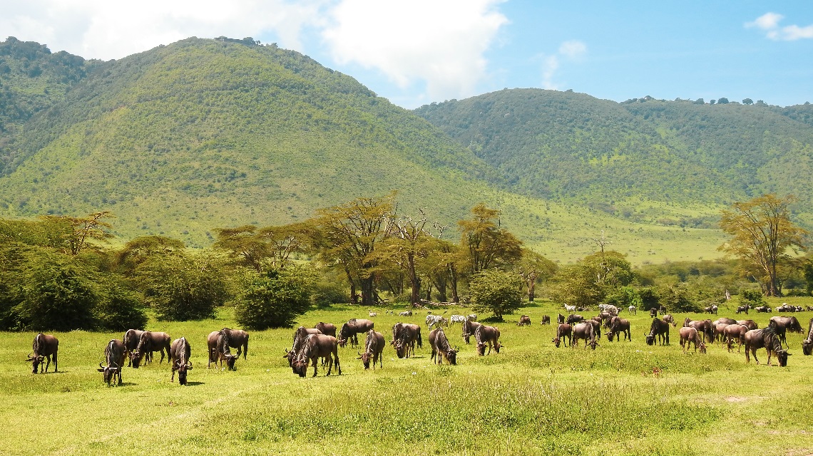 safari from arusha to ngorongoro